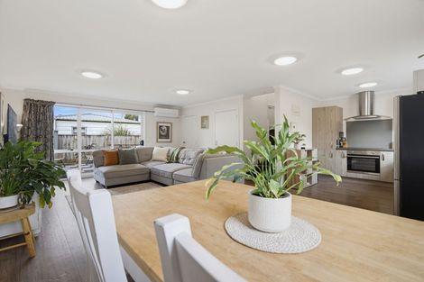 Photo of property in 27 Chiefs Court, Hamilton East, Hamilton, 3216