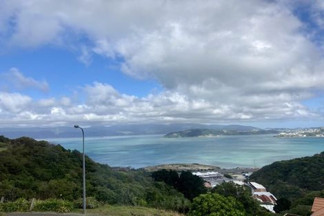 Photo of property in 21 Kabul Street, Khandallah, Wellington, 6035