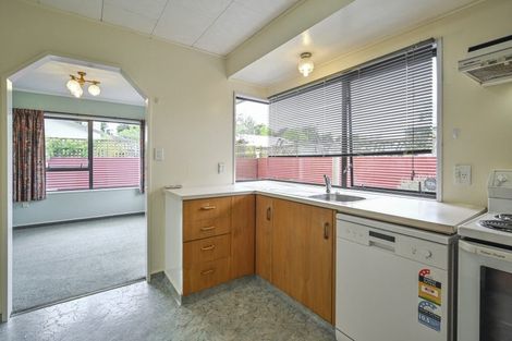 Photo of property in 1002 Reka Street, Akina, Hastings, 4122