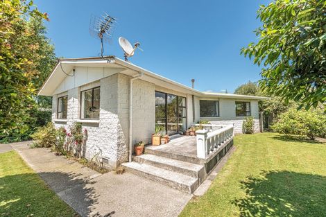 Photo of property in 8 Borlase Place, Aramoho, Whanganui, 4500