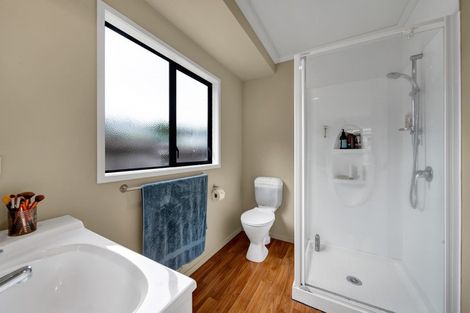 Photo of property in 45 Roto Street, Hurdon, New Plymouth, 4310