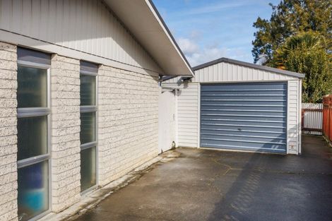 Photo of property in 3 Dalzien Place, Feilding, 4702