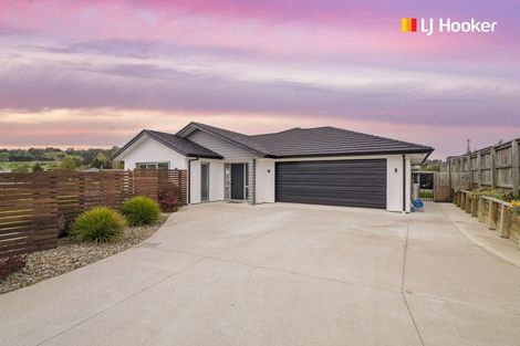 Photo of property in 103 Severn Street, Green Island, Dunedin, 9018