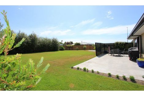 Photo of property in 14 Mcisaac Place, Renwick, 7204