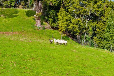 Photo of property in 50 Waitoki Road, Waitoki, Kaukapakapa, 0871