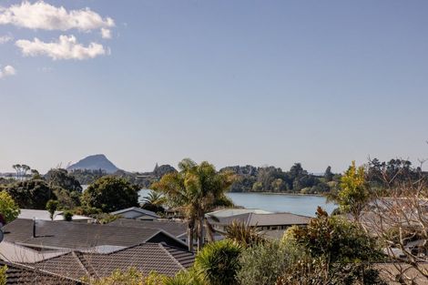 Photo of property in 16 Maihi Crescent, Maungatapu, Tauranga, 3112