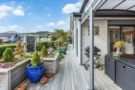 Photo of property in 24 Margaret Shields Avenue, Aotea, Porirua, 5024