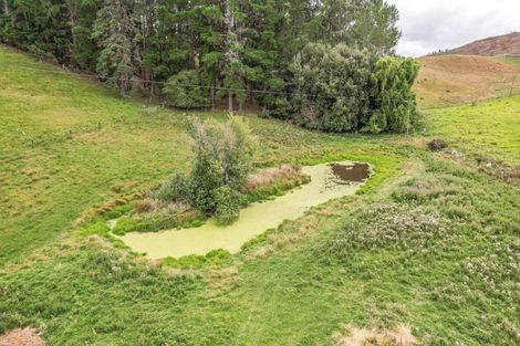 Photo of property in 66 Deer Park Road, Cheviot, 7310