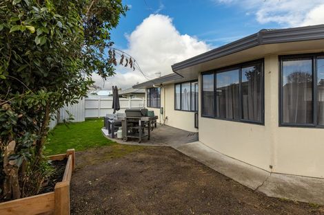 Photo of property in 45 Weld Street, Redwoodtown, Blenheim, 7201