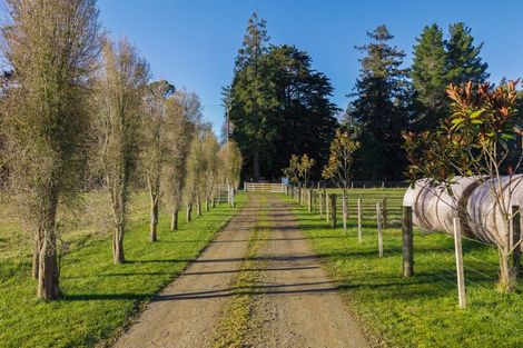 Photo of property in 124 Waihao Back Road, Waimate, 7979