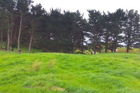 Photo of property in 89 Emma Drive, Manakau, 5573