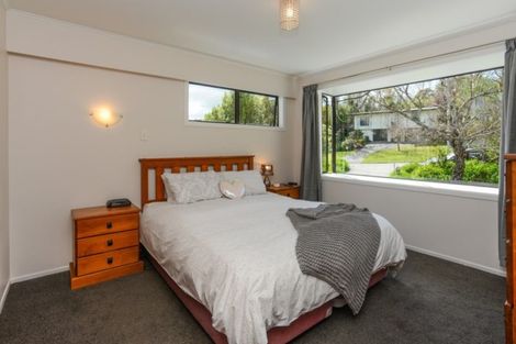 Photo of property in 20 Tainui Drive, Havelock North, 4130