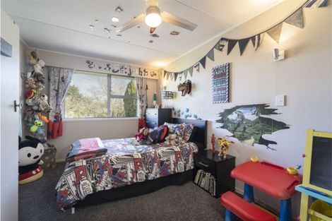 Photo of property in 16 Plunket Street, Solway, Masterton, 5810