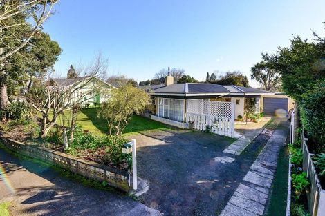 Photo of property in 23 Gillies Avenue, Claudelands, Hamilton, 3214