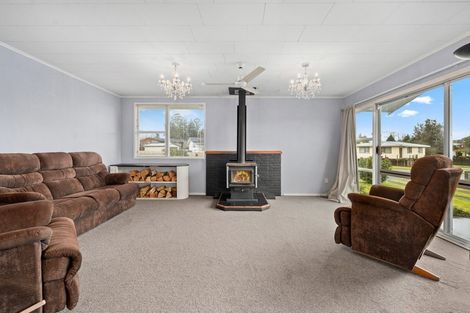 Photo of property in 6 Agincourt Place, Tokoroa, 3420