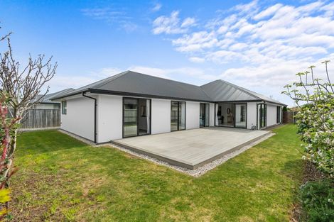 Photo of property in 45 Bronco Drive, Aidanfield, Christchurch, 8025