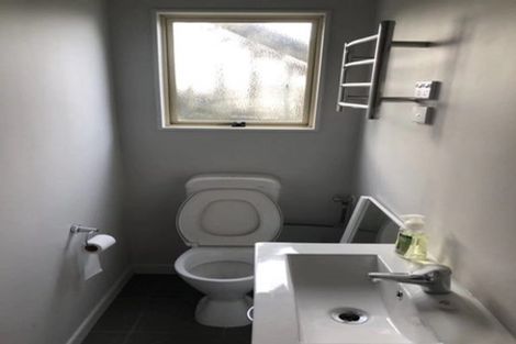 Photo of property in 20 Pembroke Street, Hamilton Lake, Hamilton, 3204