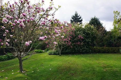 Photo of property in 211 Pine Valley Road, Dairy Flat, Silverdale, 0992