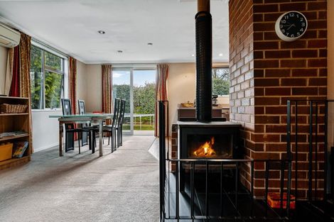 Photo of property in 19 Cornish Place, Cromwell, 9310