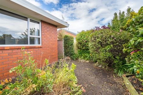 Photo of property in 54c Grove Street, Saint Kilda, Dunedin, 9012