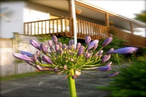 Photo of property in 1/14 Pax Avenue, Forrest Hill, Auckland, 0620