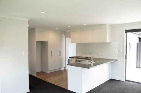 Photo of property in 60 Pakanga Grove, Pyes Pa, Tauranga, 3112