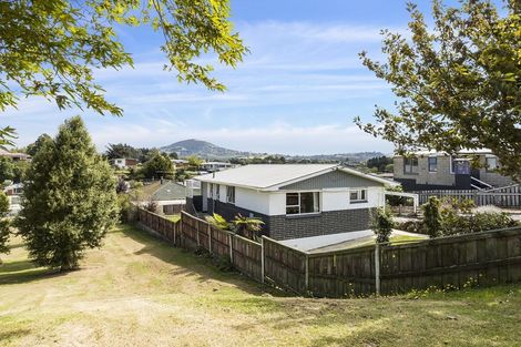 Photo of property in 48 Elwyn Crescent, Green Island, Dunedin, 9018