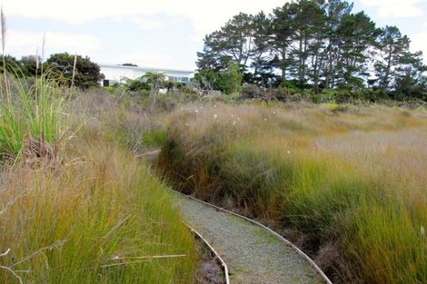 Photo of property in 86 Molesworth Drive, Mangawhai, 0505