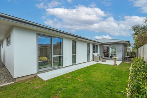 Photo of property in 55b Ferguson Street, Awapuni, Palmerston North, 4412