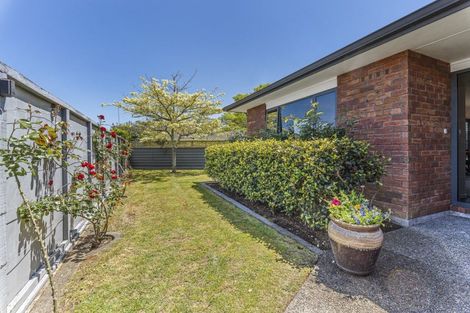 Photo of property in 271a Carrington Street, Vogeltown, New Plymouth, 4310