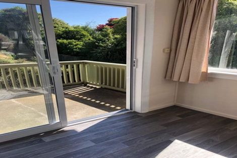 Photo of property in 191 Evans Street, Opoho, Dunedin, 9010