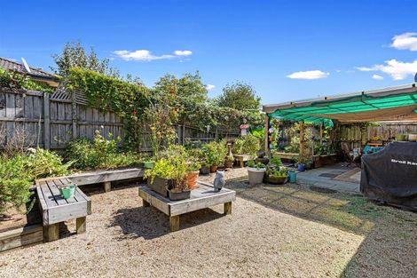 Photo of property in 17 Cedar Way, Morrinsville, 3300