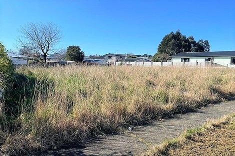 Photo of property in 24 Albion Street, Mataura, 9712