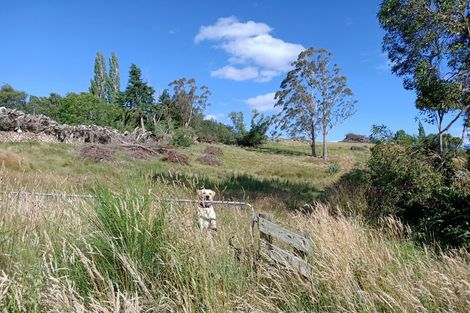 Photo of property in 18 Ashburn Street, Waitahuna, Lawrence, 9593