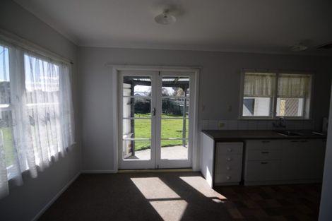 Photo of property in 20 Elizabeth Street, Levin, 5510