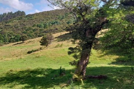 Photo of property in 1762 Kohumaru Road, Peria, Kaitaia, 0482