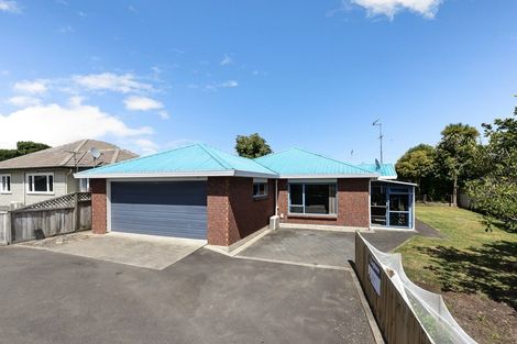 Photo of property in 167a Clarkin Road, Fairfield, Hamilton, 3214