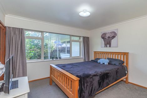 Photo of property in 19 Parsons Avenue, Levin, 5510