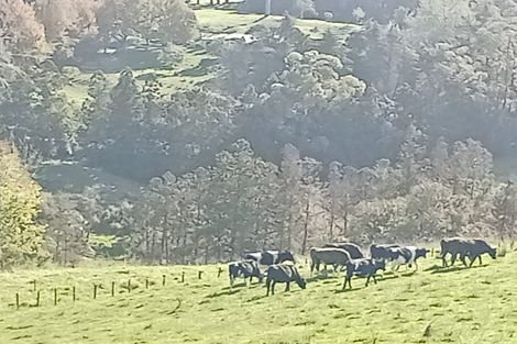 Photo of property in 1812 Kaipara Coast Highway, Kaukapakapa, 0984