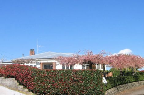 Photo of property in 44 Twentythird Avenue, Gate Pa, Tauranga, 3112