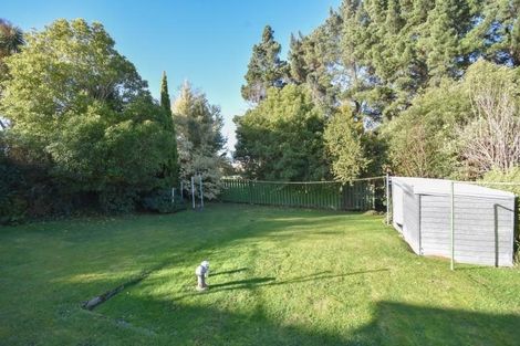 Photo of property in 160 Chapman Street, Wakari, Dunedin, 9010