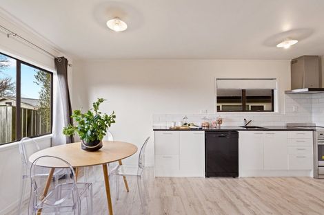 Photo of property in 610d Williams Street, Mahora, Hastings, 4120