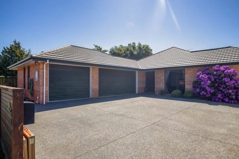 Photo of property in 25 Bowie Drive, Woodend, 7610