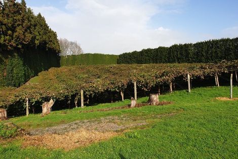 Photo of property in 40 Clarke Road, Te Puna, Tauranga, 3176