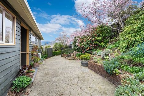 Photo of property in 27 Elliffe Place, Shiel Hill, Dunedin, 9013