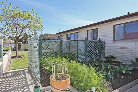 Photo of property in 1/403 Avenue Road West, Hastings, 4122