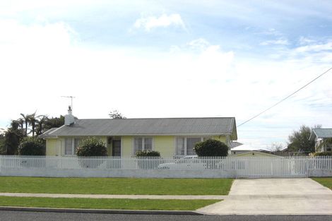 Photo of property in 108 Ariel Street, Stratford, 4332