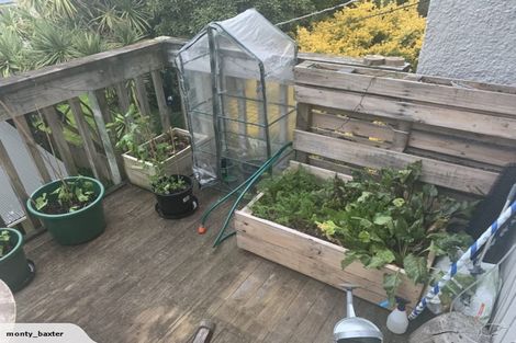 Photo of property in 119 Hataitai Road, Hataitai, Wellington, 6021