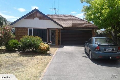 Photo of property in 23 Lasiandra Place, Mount Maunganui, 3116