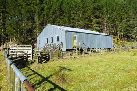 Photo of property in 1247 Wharekopae Road, Ngatapa, Gisborne, 4072